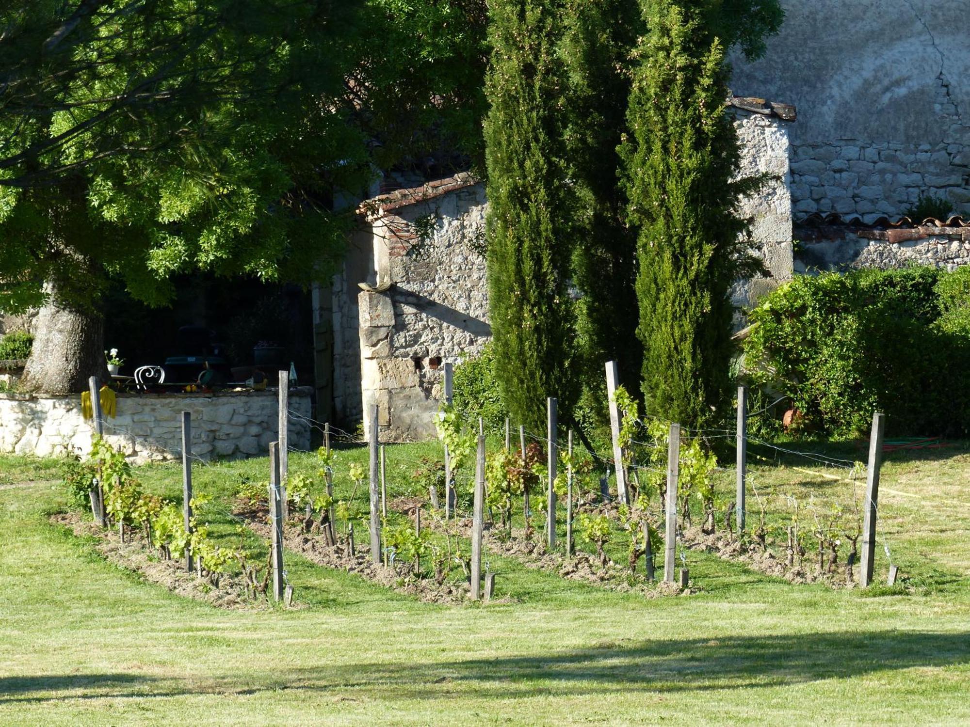 Hotel Domaine De La Monestarie - Teritoria Bernac  Exterior foto